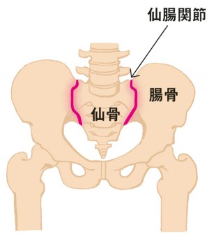 仙腸関節